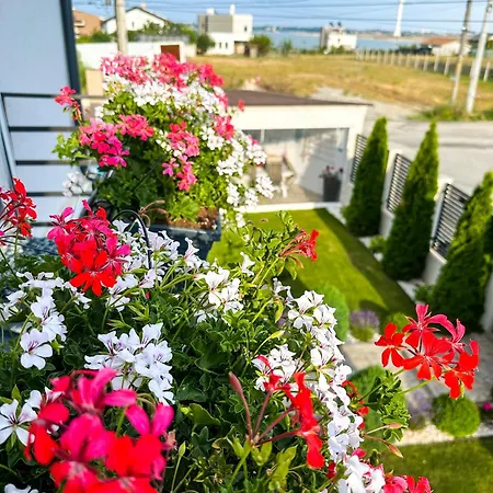 بيت ضيافة House 4*